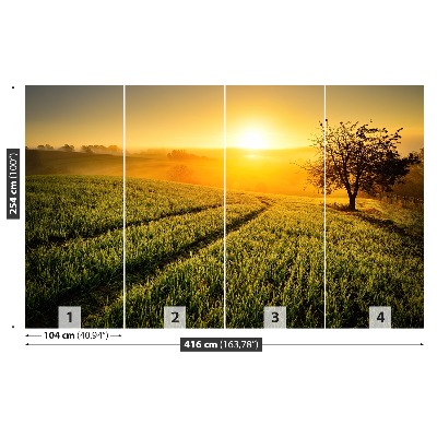 Mural de parede Colina da Árvore