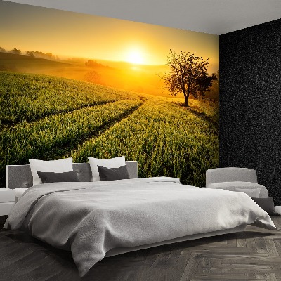 Mural de parede Colina da Árvore