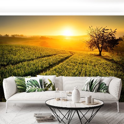 Mural de parede Colina da Árvore