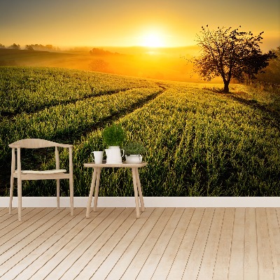 Mural de parede Colina da Árvore