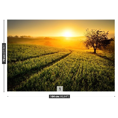 Mural de parede Colina da Árvore