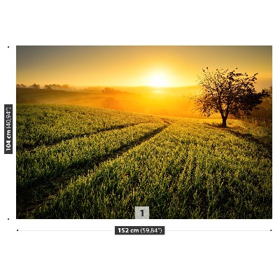 Mural de parede Colina da Árvore