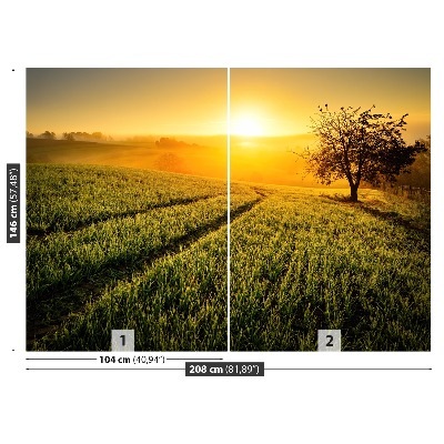 Mural de parede Colina da Árvore