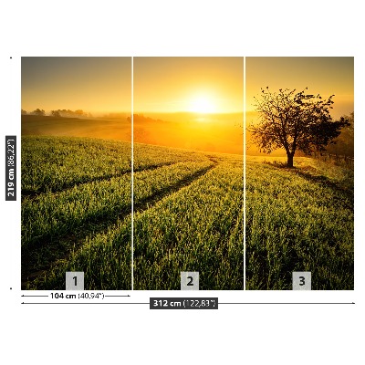 Mural de parede Colina da Árvore