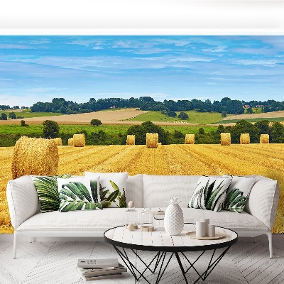 Papel de parede fardos de feno