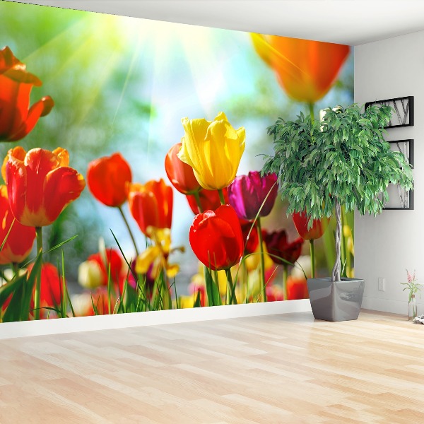 Mural de parede Flores tulipas