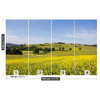 Papel de parede Lentilhas florescendo