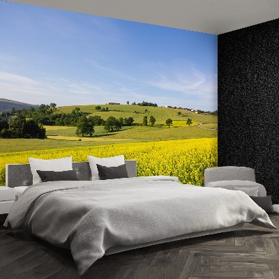 Papel de parede Lentilhas florescendo