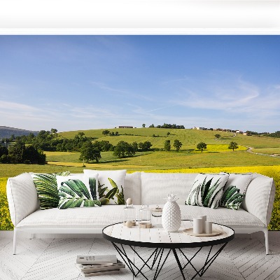 Papel de parede Lentilhas florescendo