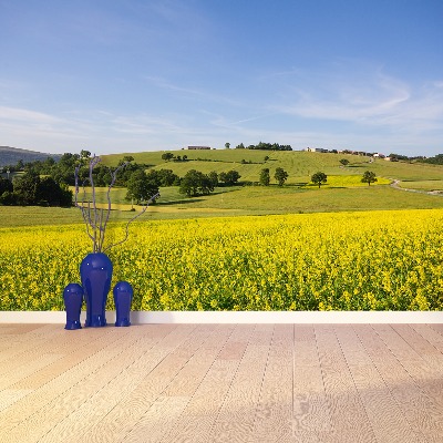 Papel de parede Lentilhas florescendo