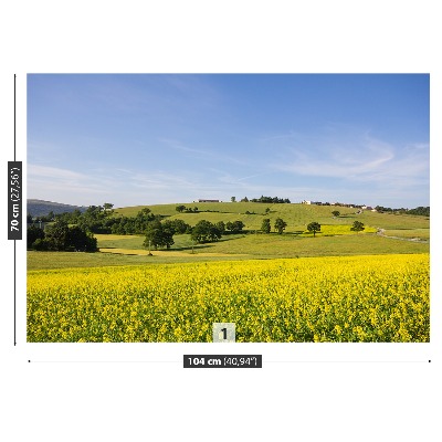 Papel de parede Lentilhas florescendo