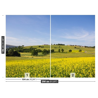 Papel de parede Lentilhas florescendo