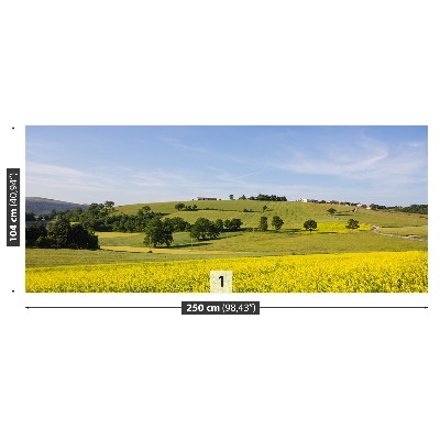 Papel de parede Lentilhas florescendo