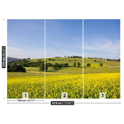 Papel de parede Lentilhas florescendo