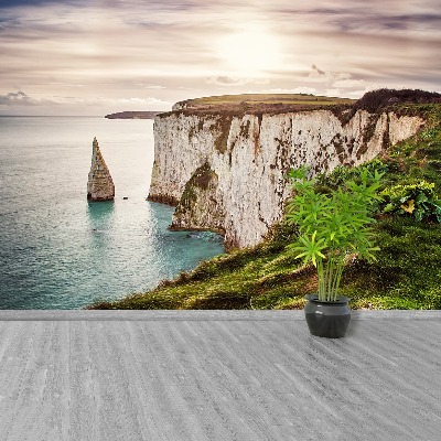 Papel de parede Harry, o velho das rochas