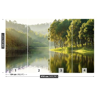 Mural de parede Pinheiros