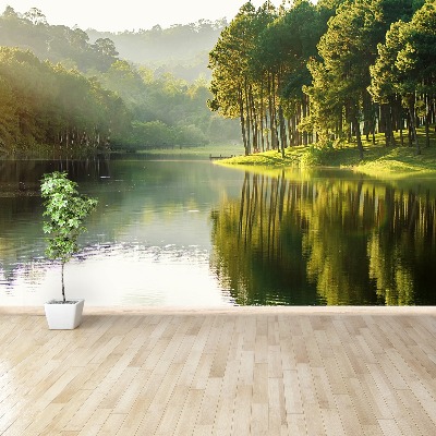 Mural de parede Pinheiros