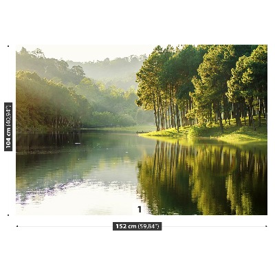 Mural de parede Pinheiros