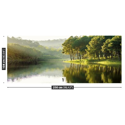 Mural de parede Pinheiros