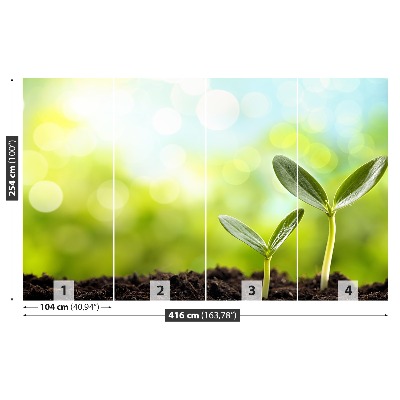 Mural de parede Broto de feijão