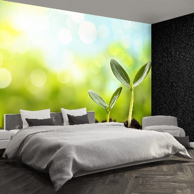 Mural de parede Broto de feijão