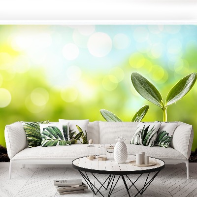 Mural de parede Broto de feijão