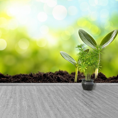 Mural de parede Broto de feijão