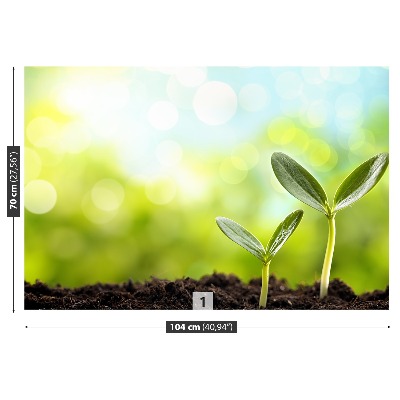 Mural de parede Broto de feijão