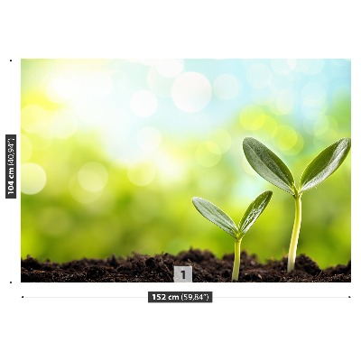 Mural de parede Broto de feijão