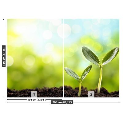 Mural de parede Broto de feijão