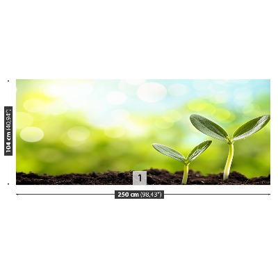 Mural de parede Broto de feijão