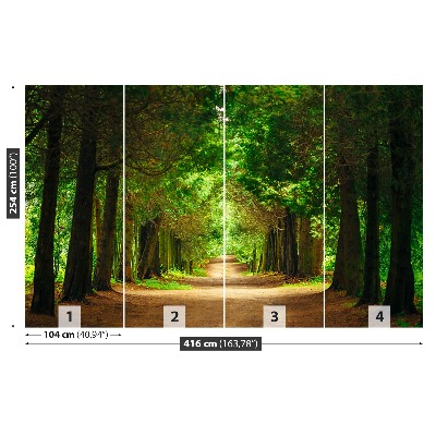 Papel de parede Caminho da Árvore