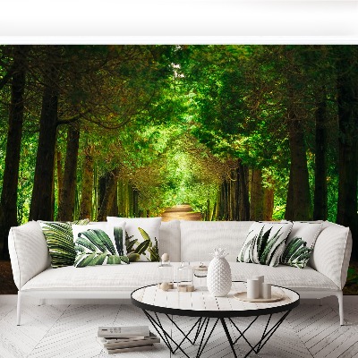 Papel de parede Caminho da Árvore