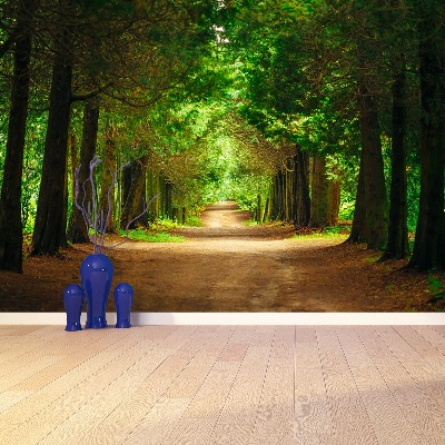 Papel de parede Caminho da Árvore