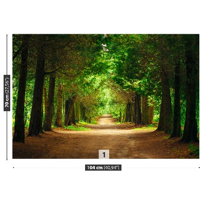 Papel de parede Caminho da Árvore