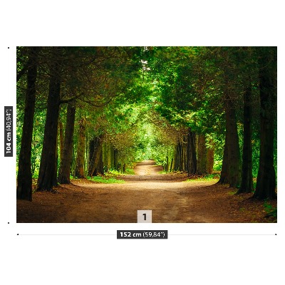 Papel de parede Caminho da Árvore