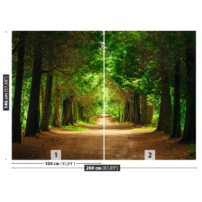 Papel de parede Caminho da Árvore