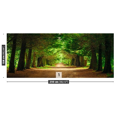 Papel de parede Caminho da Árvore