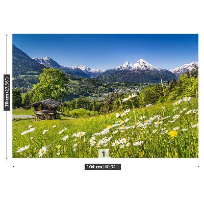 Mural de parede Montanhas da Baviera