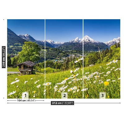 Mural de parede Montanhas da Baviera