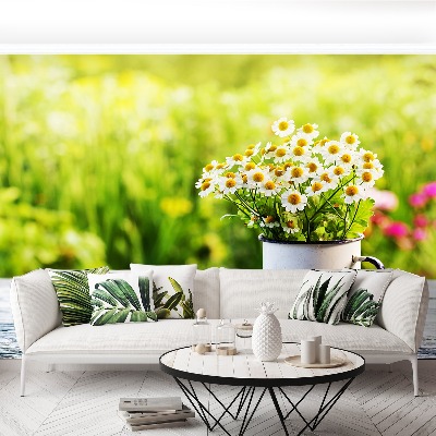 Papel de parede Flores de margarida