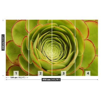 Papel de parede Flor Verde