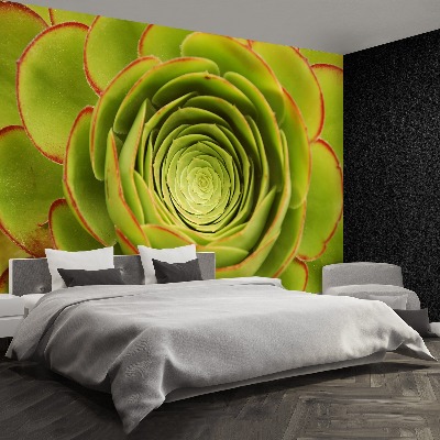 Papel de parede Flor Verde