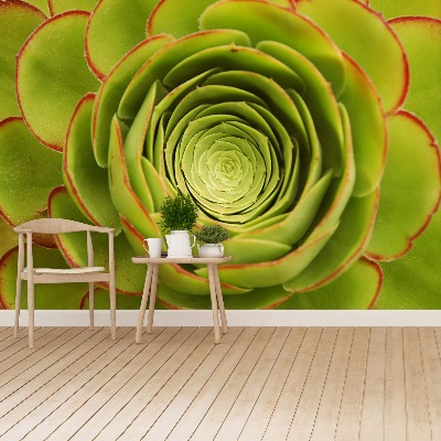 Papel de parede Flor Verde