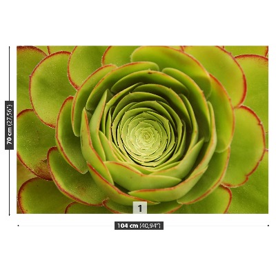 Papel de parede Flor Verde