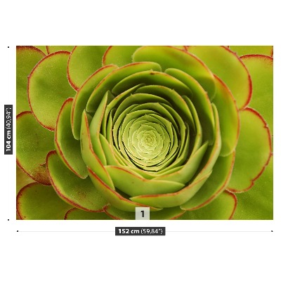 Papel de parede Flor Verde