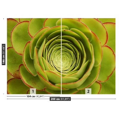 Papel de parede Flor Verde