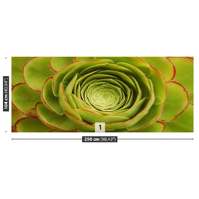 Papel de parede Flor Verde