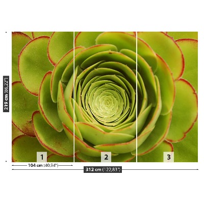 Papel de parede Flor Verde