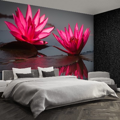Mural de parede Nenúfares cor-de-rosa